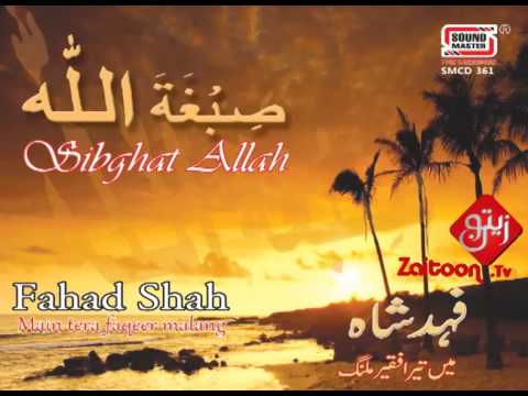 Main Nay Tumhay – Hafiz Fahad Shah